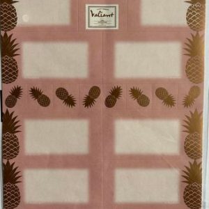 8 ETIQUETTES SCOLAIRES ANANAS VALIANT