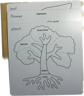 Ensemble de cartes pour une initiation par le jeu à la botanique MONTESSORI – Image 4