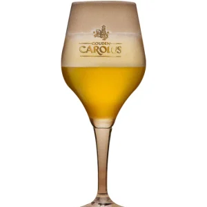 Verre à bière CAROLUS 25/33 cl
