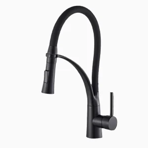 Mitigeur Cuisine Céphise Noir Mat — Mitigeur Cuisine HUDOR