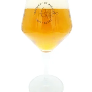 Lot de 6 Verres à BREWERY DE MEESTER GRAFT BEERS 25 à 33 cl