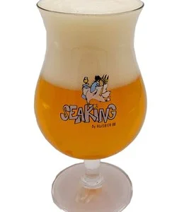Verres à SEAKING 33CL