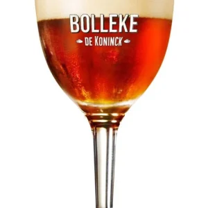 Verre à bière BOLLEKE 25 cl