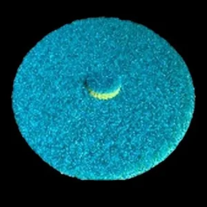 DISQUE BI-FACE diamètre 225mm – lavage + lustrage sans chimie