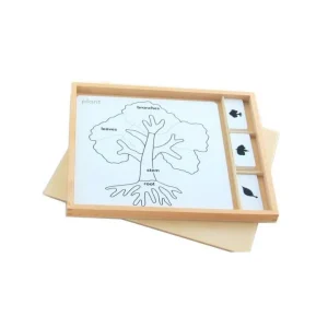 Ensemble de cartes pour une initiation par le jeu à la botanique MONTESSORI