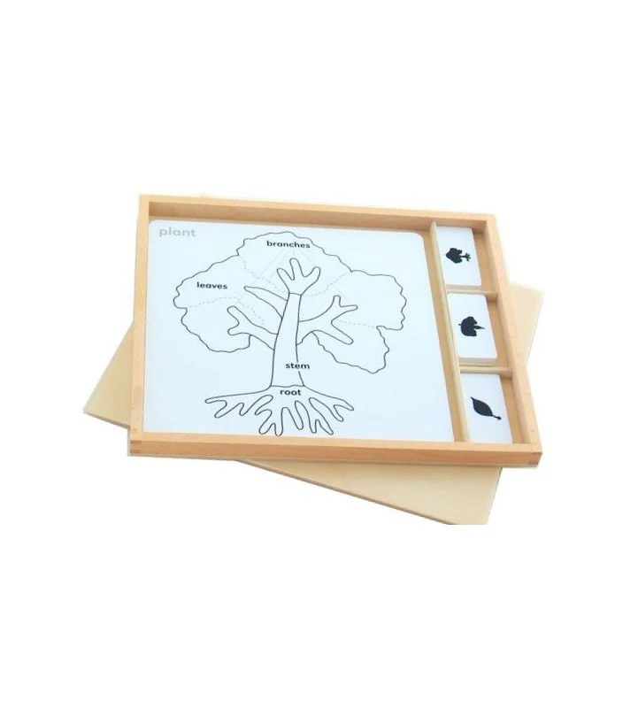 Ensemble de cartes pour une initiation par le jeu à la botanique MONTESSORI – Image 2