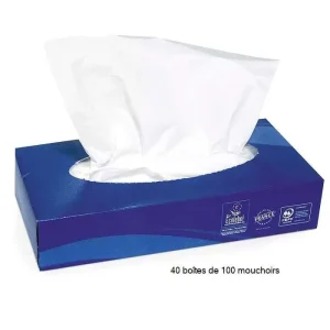 MOUCHOIRS Papier – BLANC – Pure Ouate – CARTON de 40 boîtes de 100